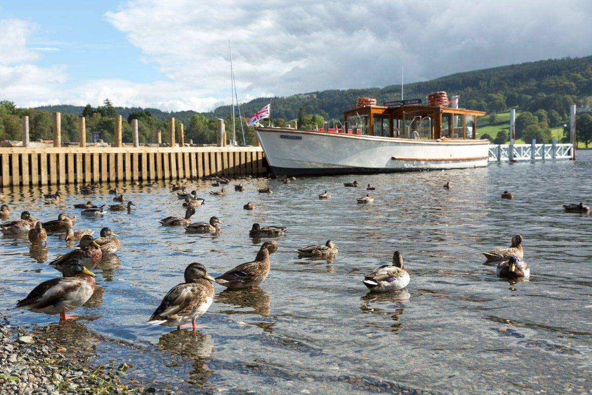 about-coniston-launch-6